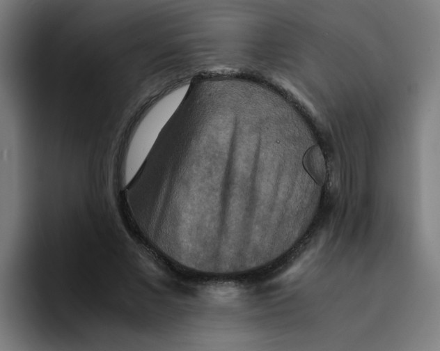 X0000094180685200711161728