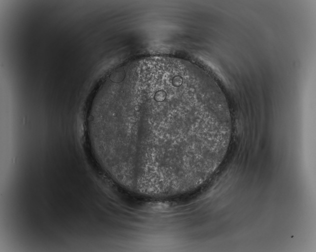 X0000094180687200711161728