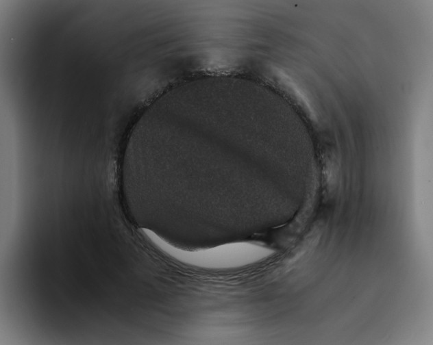 X0000094180689200711161728