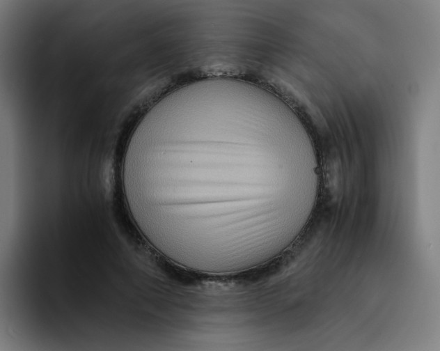 X0000094180690200711161728