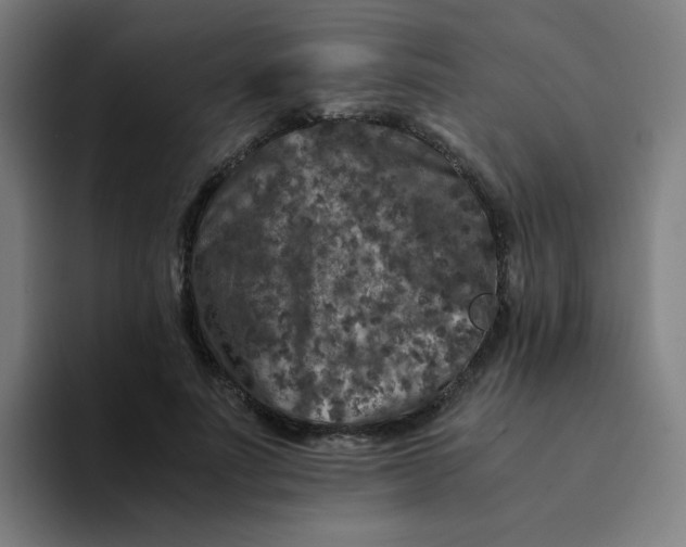 X0000094180691200711161728