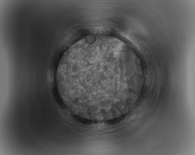 X0000094180695200711161728