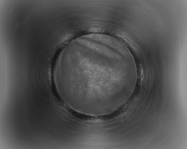 X0000094180696200711161728