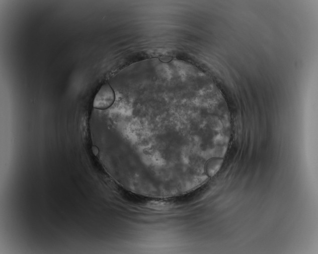 X0000094180699200711161728