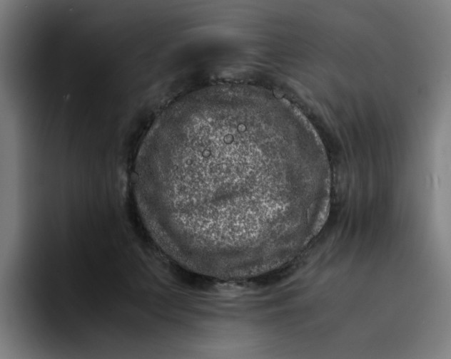 X0000094180703200711161728