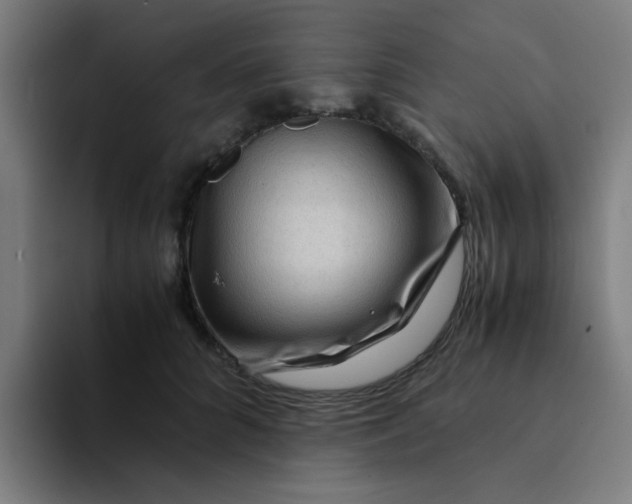 X0000094180704200711161728