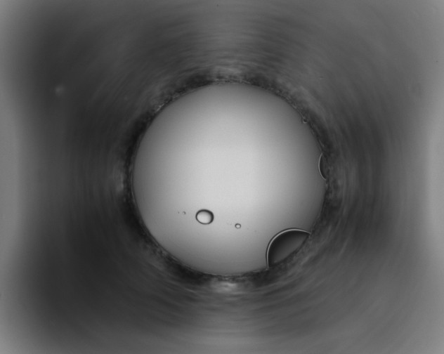 X0000094180706200711161728