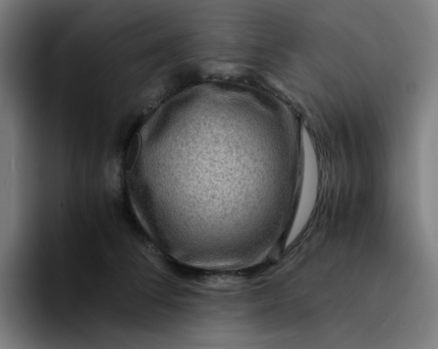 X0000094180708200711161728