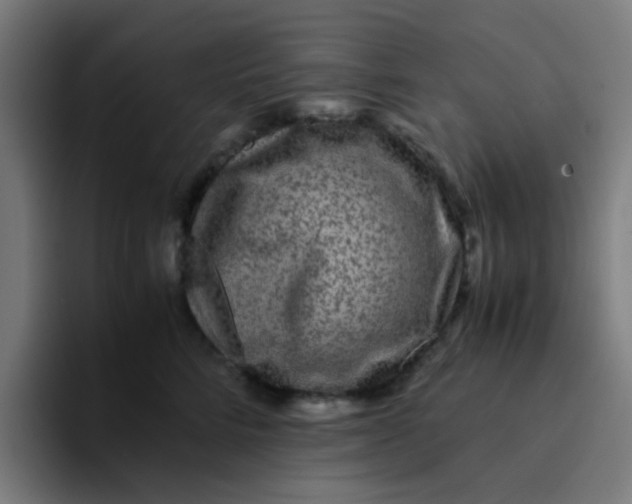 X0000094180712200711161728