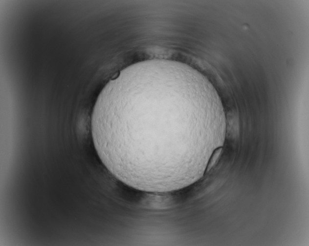 X0000094180713200711161728