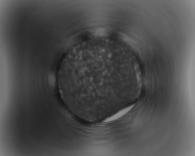 X0000094180715200711161728