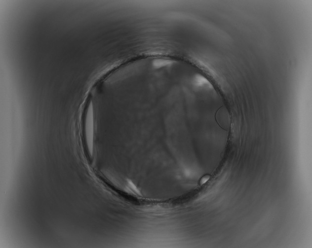 X0000094180721200711161727