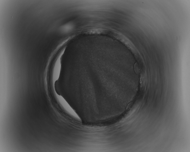 X0000094180722200711161727