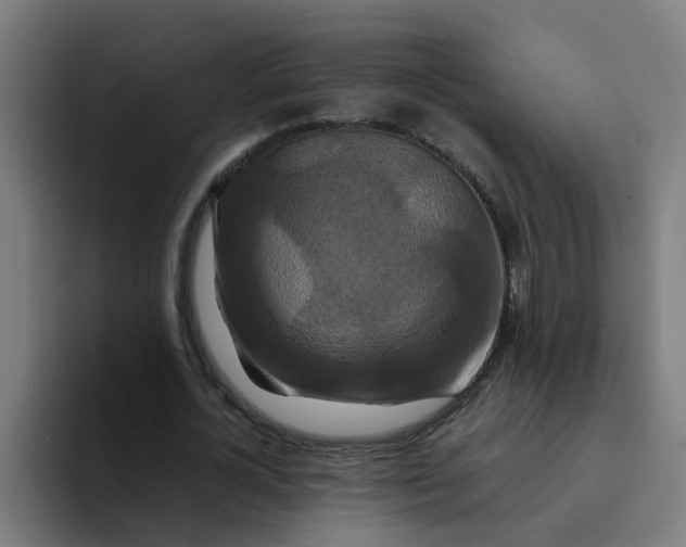 X0000094180724200711161727