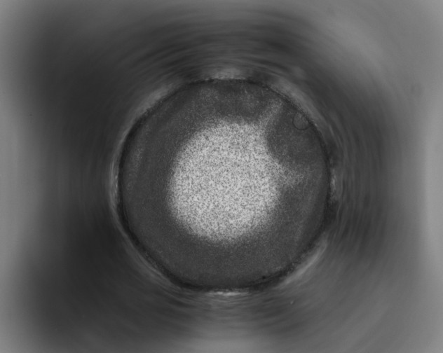 X0000094180725200711161727