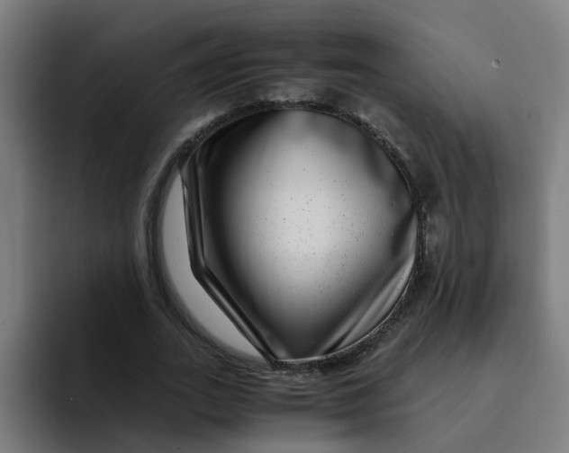 X0000094180727200711161727