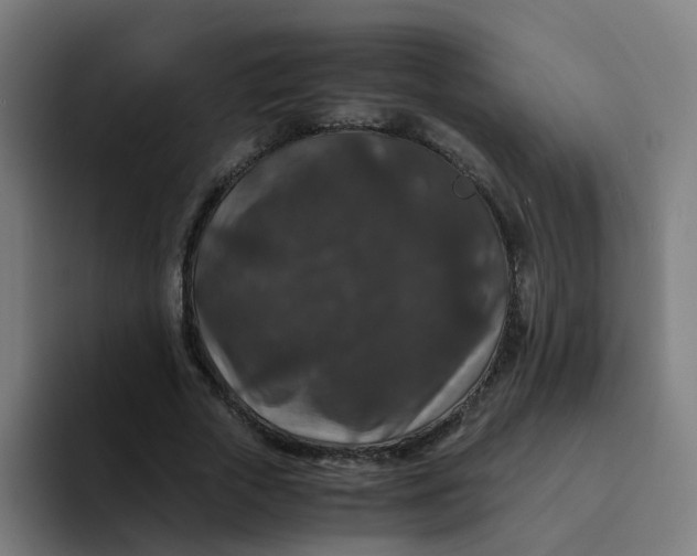 X0000094180729200711161727