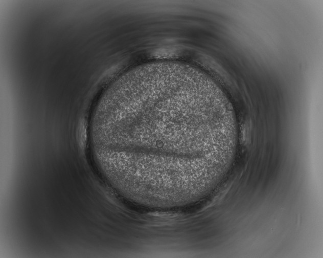 X0000094180733200711161727