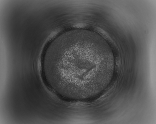 X0000094180734200711161727