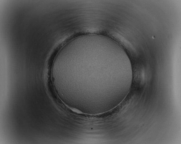 X0000094180736200711161727