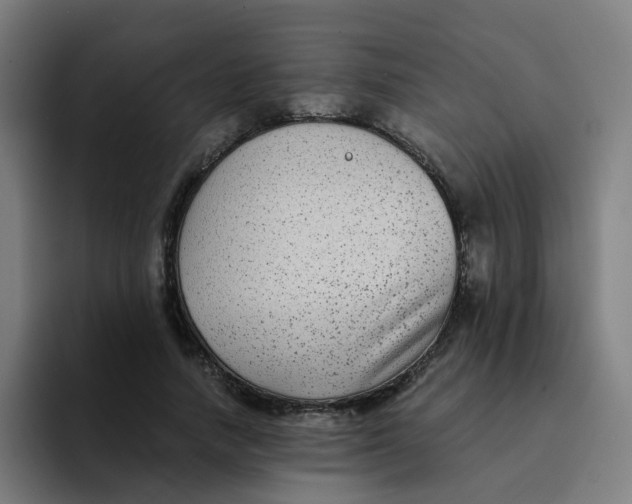 X0000094180738200711161727