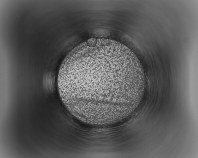X0000094180745200711161727