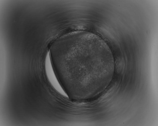 X0000094180747200711161727
