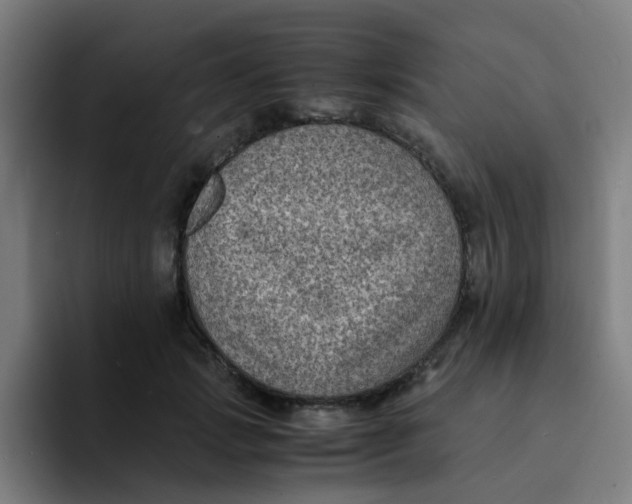 X0000094180749200711161727