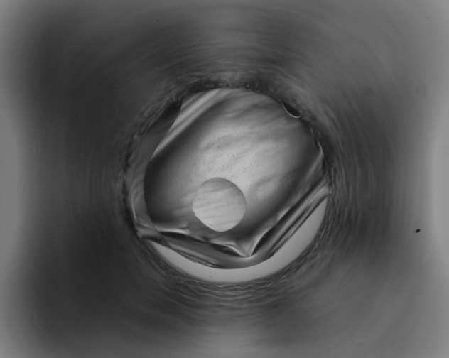X0000094180750200711161728