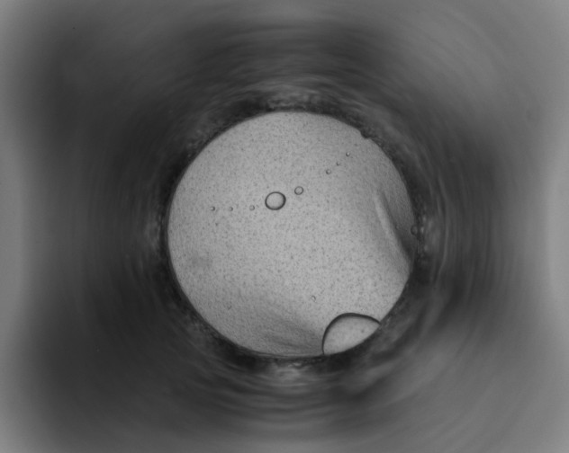 X0000094180753200711161728