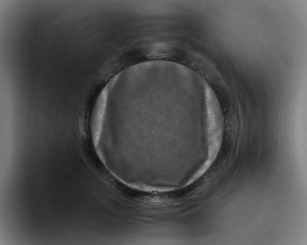X0000094180755200711161728