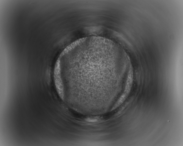 X0000094180757200711161728