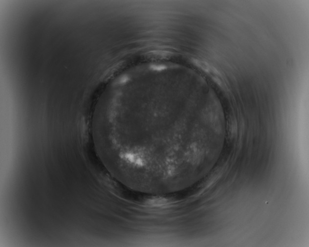 X0000094180759200711161728