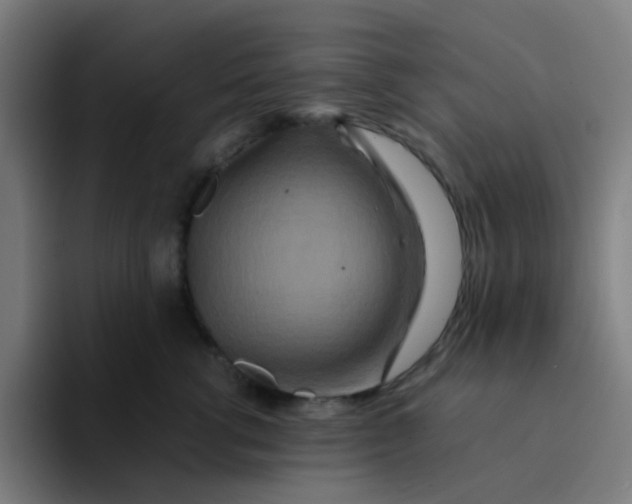 X0000094180762200711161728
