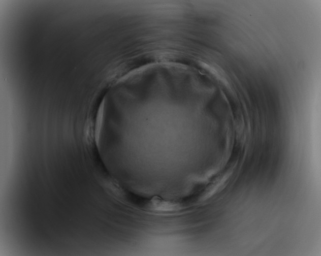 X0000094180766200711161728
