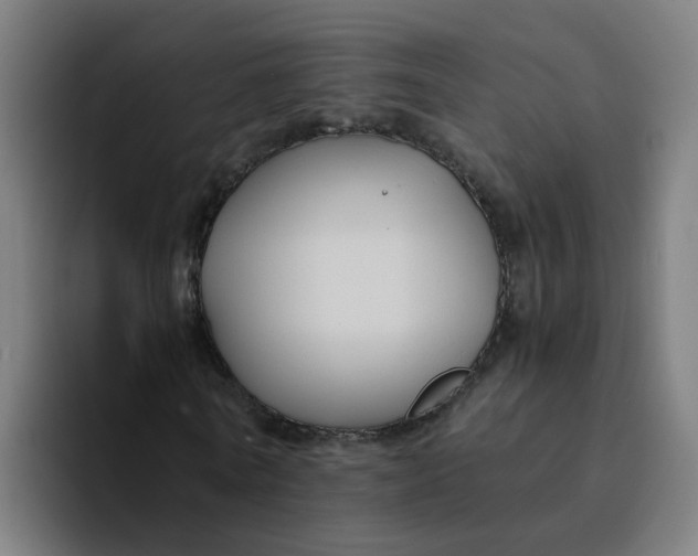 X0000094180770200711161727