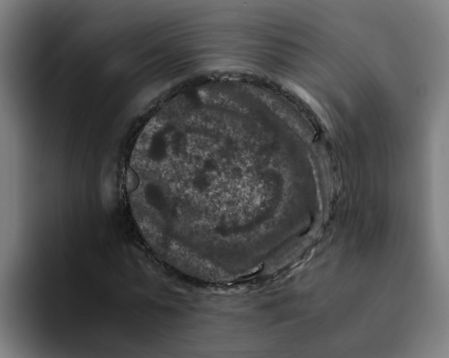 X0000094180775200711161727