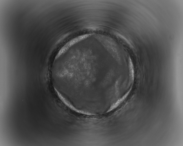 X0000094180776200711161727