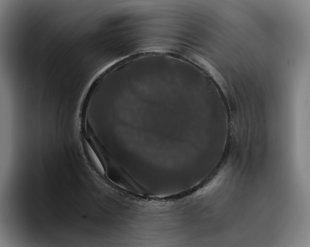 X0000094180779200711161727