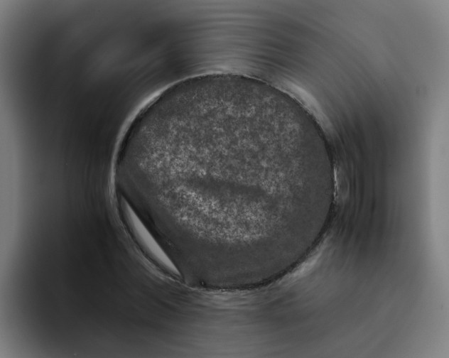 X0000094180780200711161727