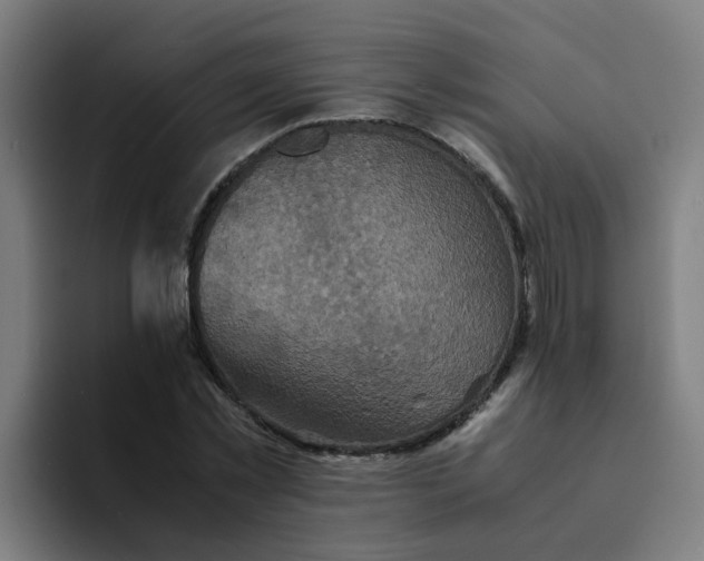 X0000094180781200711161727