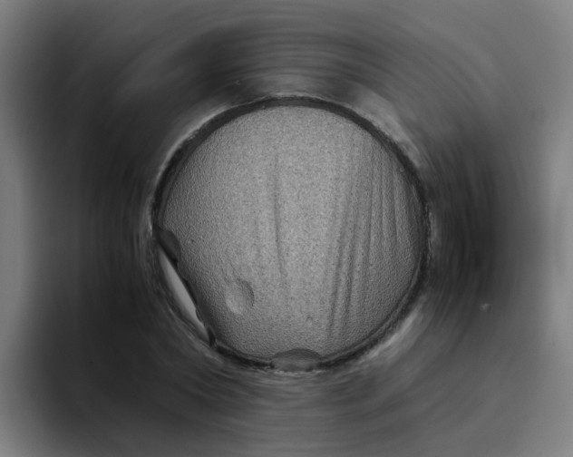 X0000094180782200711161727