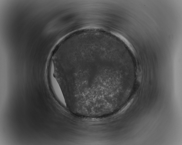X0000094180783200711161727