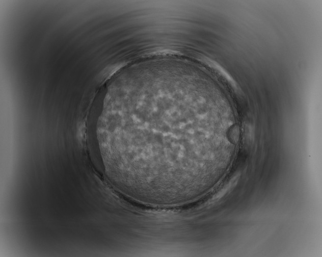 X0000094180785200711161727