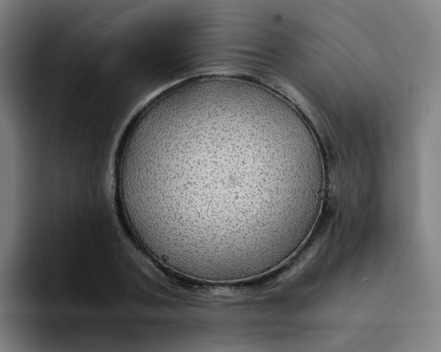 X0000094180787200711161727