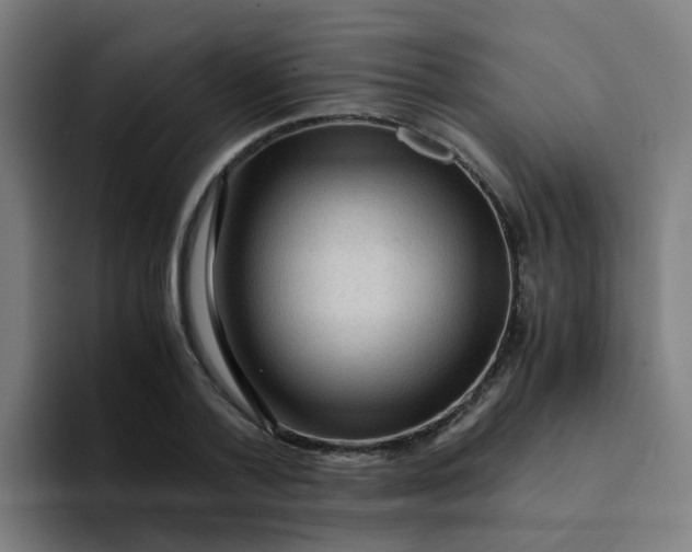 X0000094180788200711161727