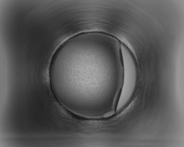 X0000094180789200711161727