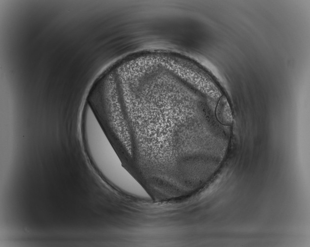 X0000094180791200711161727