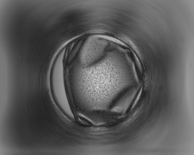 X0000094180795200711161727