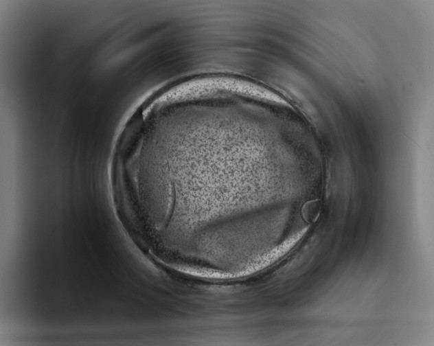 X0000094180796200711161727